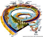 evolutionaryhistory 